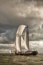 Schiff der Braunen Flotte bei Enkhuizen von Frans Lemmens Miniaturansicht