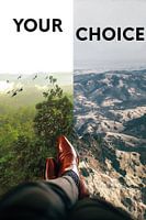 Your Choice
