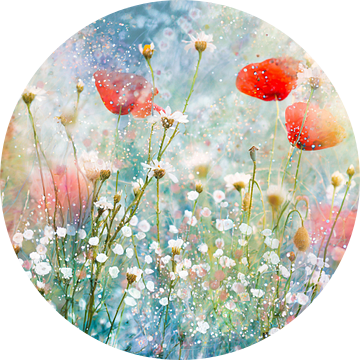 Aquarel van klaprozen en gipskruid in het gras van Pieternel Fotografie en Digitale kunst