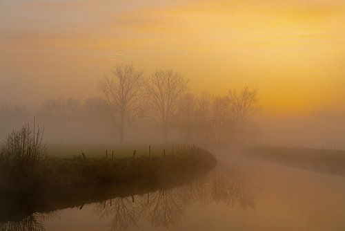 Foggy morning along the Dender