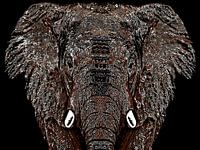 Olifant