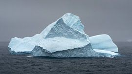 Eisberg im Meer der Antarktis von Anges van der Logt