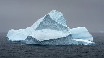 Ijsberg in de zee van Antarctica van Anges van der Logt