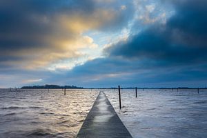 Vue de l'île aux oiseaux dans le lac noir