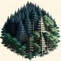 Coniferous forest
