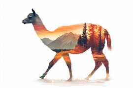 Lama in der Natur von Poster Art Shop