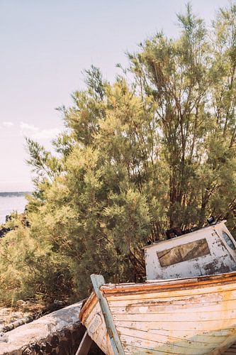 Fishing Boat on Land