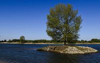 Paysage Lith