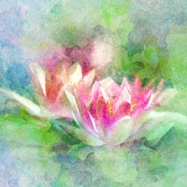 Water lilies 2020 by Andreas Wemmje