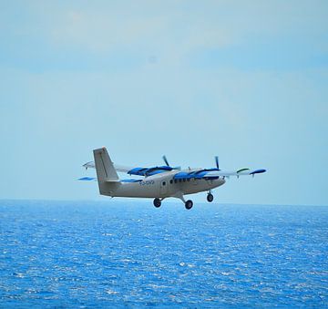Divi Divi Air in Curaçao van Karel Frielink