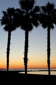Zonsondergang met palmbomen aan het strand van Gerard van de Werken