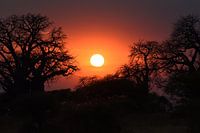 Sunset in Tarangire National Park, Tanzania