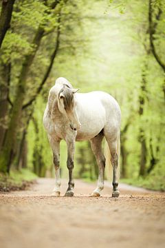 Groene pracht van Keeley Wit