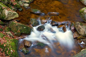 Der Fluss Ilse im Nationalpark Harz