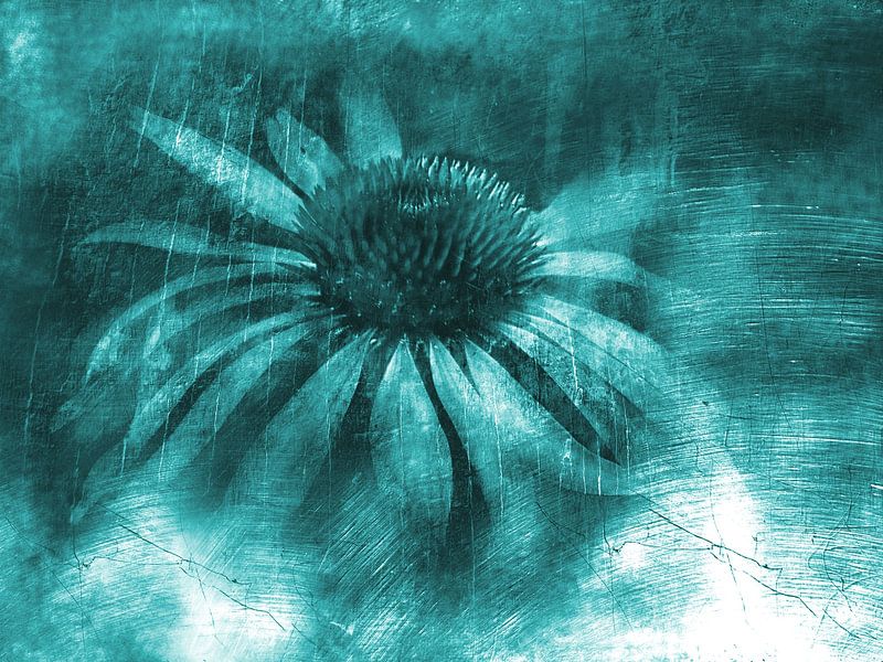 Sonnenhut in Blau Grün von Claudia Gründler
