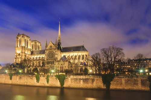Blauwe uur Notre-Dame Parijs aan de Seine