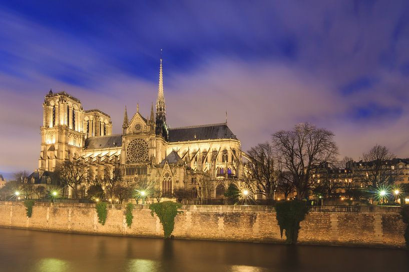 Heure bleue Notre-Dame Paris sur la Seine par Dennis van de Water