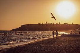 Romantische verbintenis van Vladyslav Durniev