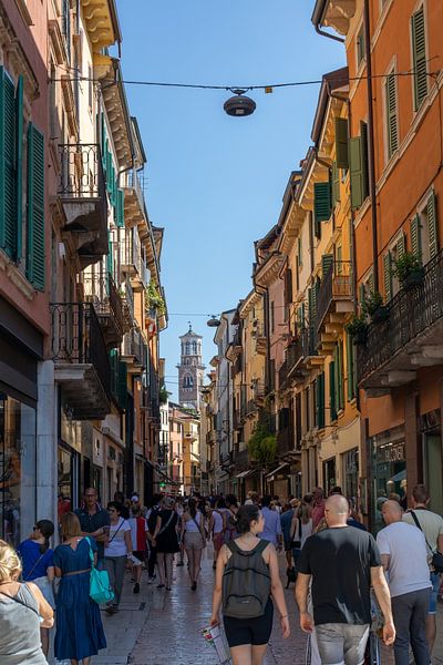 Vérone - Vue sur le Palazzo di Cansignorio à travers la Via Pellicciai par t.ART