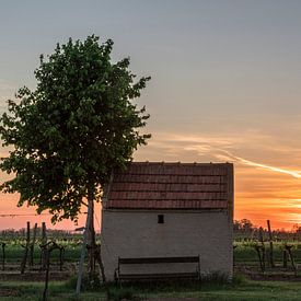 Weingarten hut at sunset by Alexander Kiessling