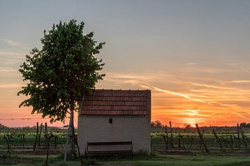 Weingarten hut at sunset by Alexander Kiessling