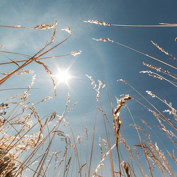 Puur natuur van Yanuschka Fotografie | Noordwijk