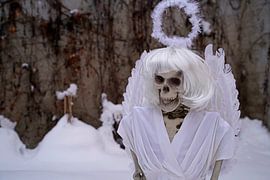 Last angel skeleton of an angel in white snow