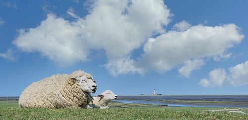 North Friesland idyll