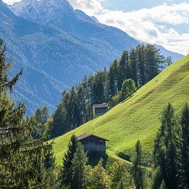 Alpine pasture with hay barn, forest and mountains by Torsten Krüger
