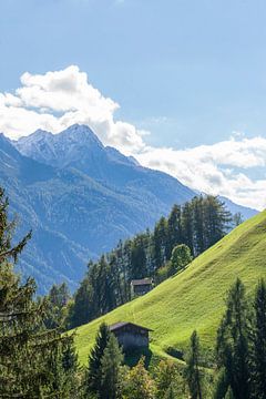 Alpine pasture with hay barn, forest and mountains by Torsten Krüger