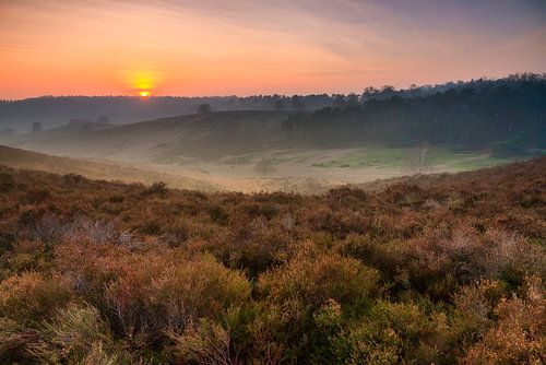 Vroege morgen op de Posbank by Dennis van de Water
