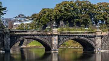 Keizerlijk Paleis in Tokio van Luis Emilio Villegas Amador