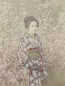 Porträt einer Geisha in Kirschblüte