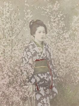 Geisha in Kirschblüte