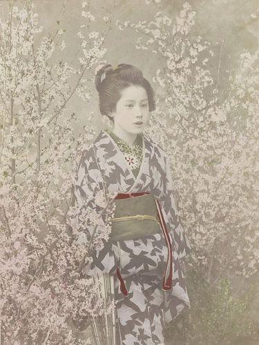 Portrait of a geisha amidst cherry blossoms