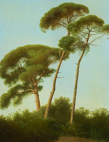 Pine Trees, Joseph August Knip