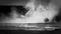 Boom in mist
