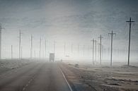 Im Nebel von Eerensfotografie Renate Eerens Miniaturansicht