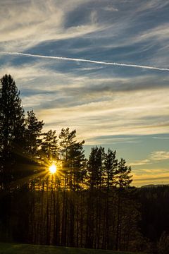 Duitsland, Zonsondergang achter naaldbomen van zwart bos natuurlandschap van adventure-photos