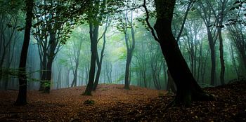 Begrüßung des Morgens