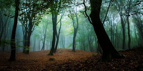 Begrüßung des Morgens von Nando Harmsen