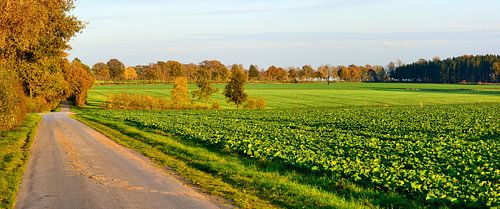 Autumnal Panorama by Gisela Scheffbuch