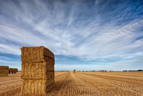 Het stro staat klaar