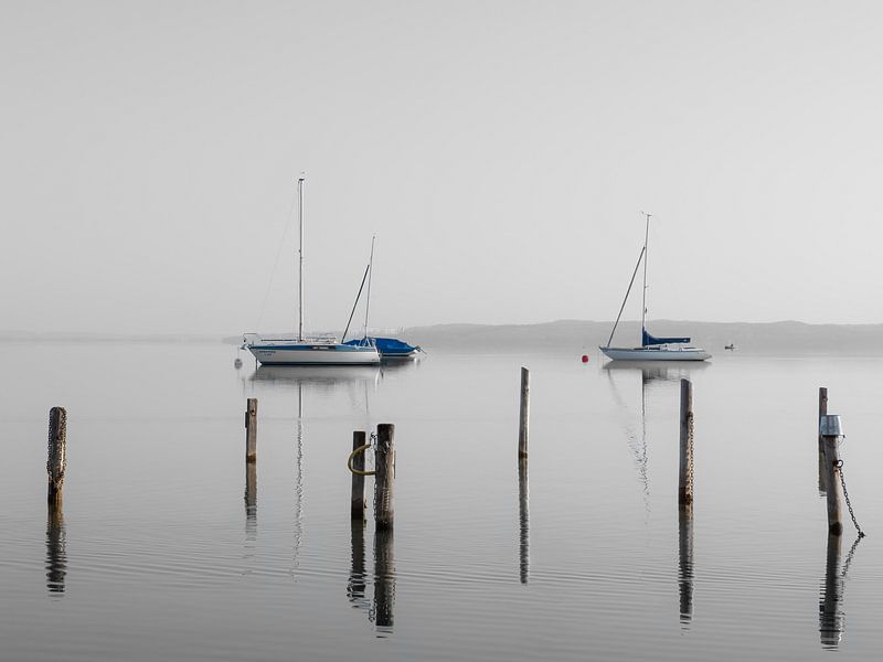 Segelboote im Morgennebel bei Diessen von calvaine8