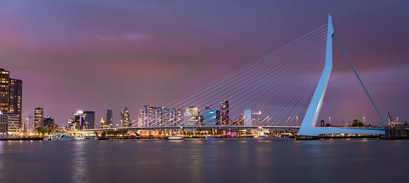 Erasmusbrug  van Jolanda van Straaten