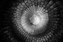 Psyche by fleur coevoet