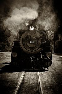 The Durango and Silverton Narrow Gauge Railroad