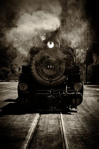 The Durango and Silverton Narrow Gauge Railroad