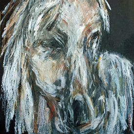 Weißbraunes Pferd. von Ineke de Rijk