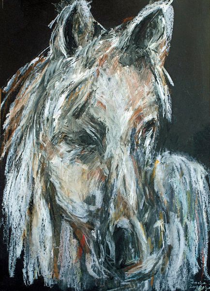 Wit bruin paard. van Ineke de Rijk